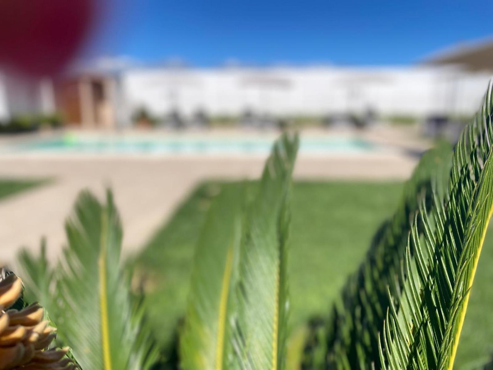 Agriturismo Albachiara Bisignano Екстериор снимка